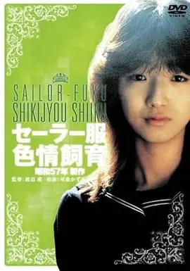 麦田上的钟电影海报